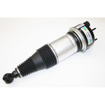 Air Spring & Damper Assy