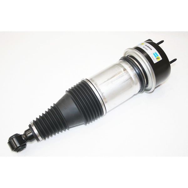 Air Spring & Damper Assy