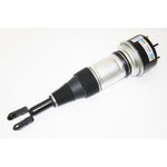 Air Spring & Damper Assy