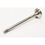 Exhaust Valve