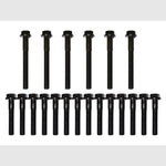 DA2141 - Range Rover P38 4.0/4.6 V8 Ten Bolt Cylinder Head Bolt Set