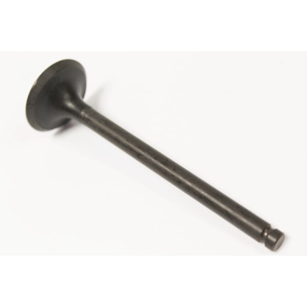 Exhaust Valve