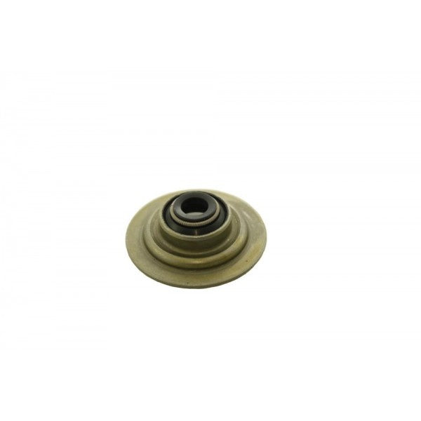 Valve Stem Oil Seal