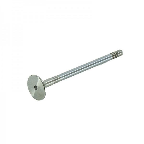 Exhaust Valve