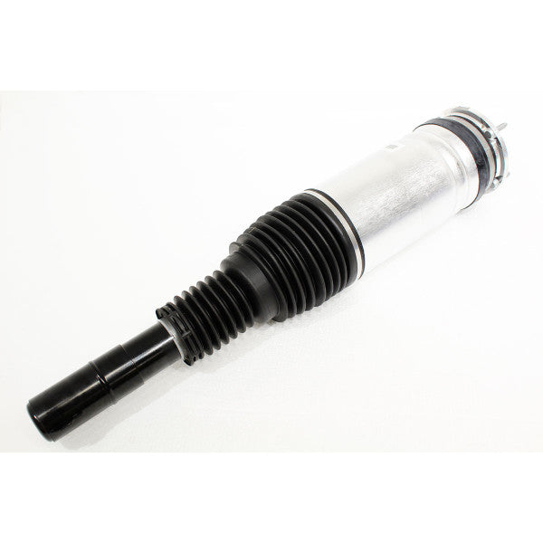 Air Spring+Damper Assy