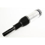 Air Spring+Damper Assy