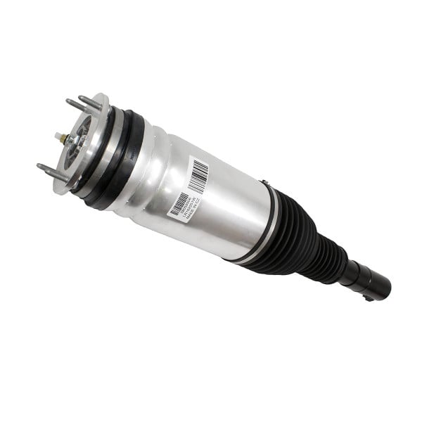 Air Spring+Damper Assy