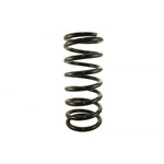 Rear Passenger Coil Spring (Red/Green)