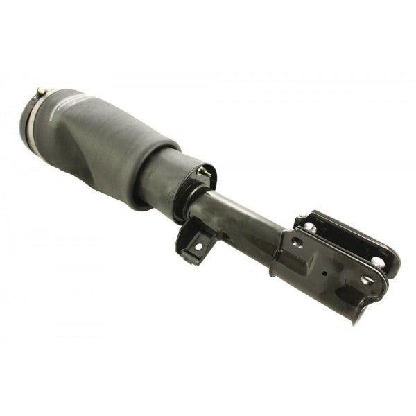 Front Left Shock Absorber
