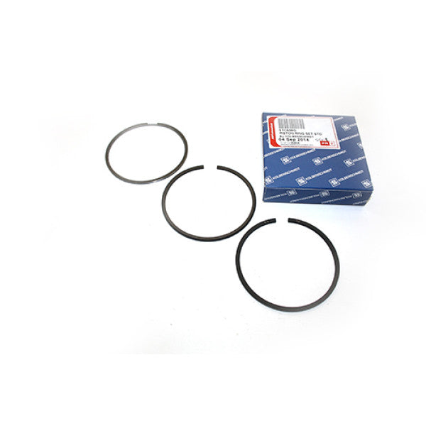 Ring Set - Piston - Standard - 300Tdi