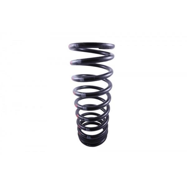 Rear Road Spring - ANR3058