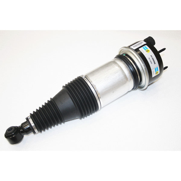 Air Spring & Damper Assy