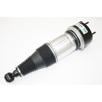 Air Spring & Damper Assy