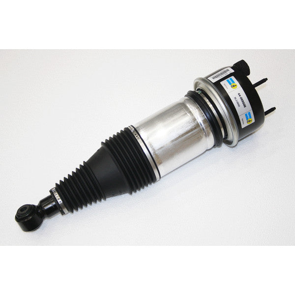 Air Spring & Damper Assy