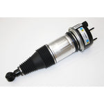 Air Spring & Damper Assy