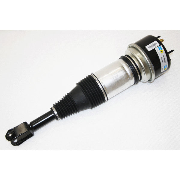 Air Spring & Damper Assy