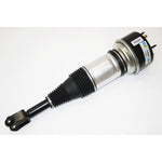 Air Spring & Damper Assy