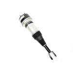 Air Spring & Damper Assy