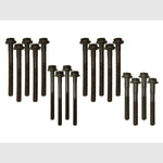 DA2006-2 - Range Rover Classic 200 Tdi Cylinder Head Bolt Set