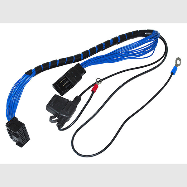 DA4136EAS - Range Rover P38 Air Spring to Coil Suspension EAS Override Module