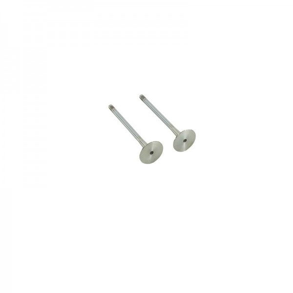 Exhaust Valve