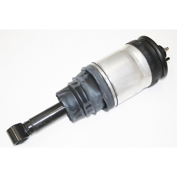 Damper Assembly - Rear Suspension