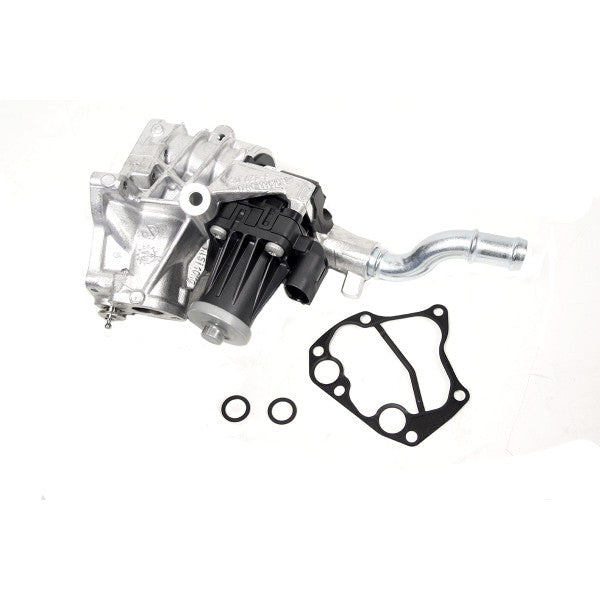 Egr Valve And Gasket