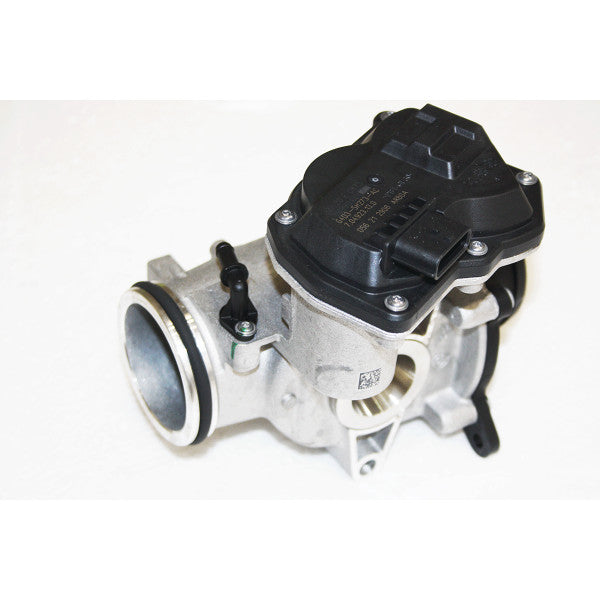 Egr Valve + Throttle Body Assy