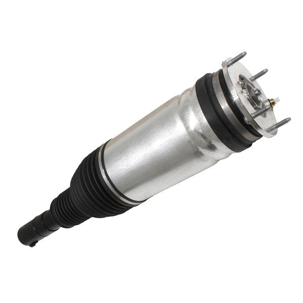 Air Spring+Damper Assy