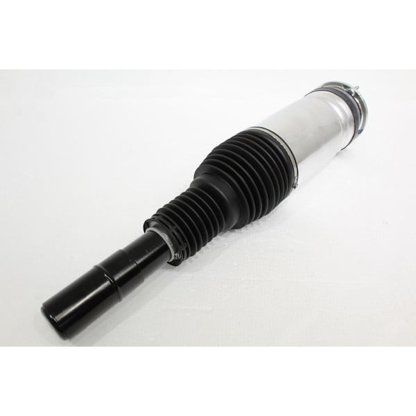 Air Spring+Damper Assy