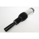 Air Spring+Damper Assy