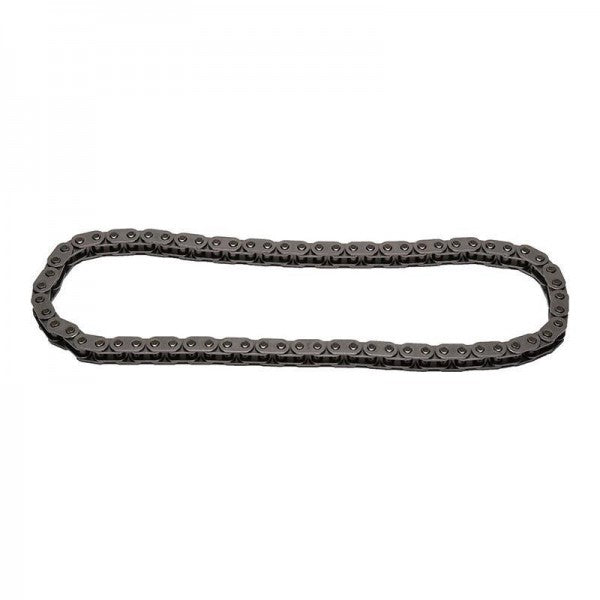 Lower Timing Chain