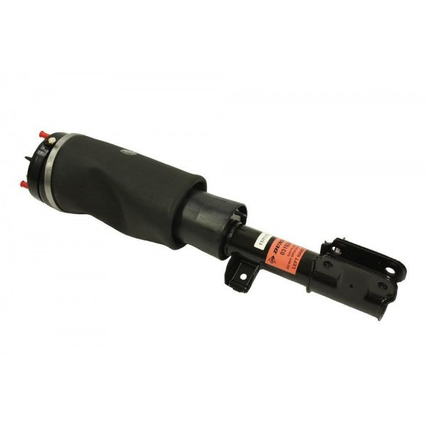 Front Left Shock Absorber