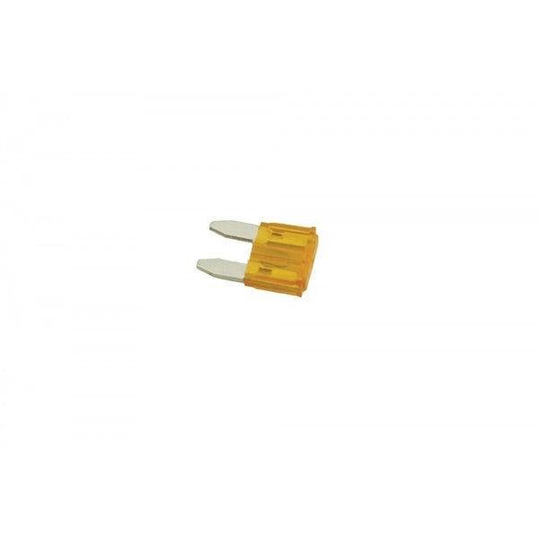 YQF100490 - Mini Fuse