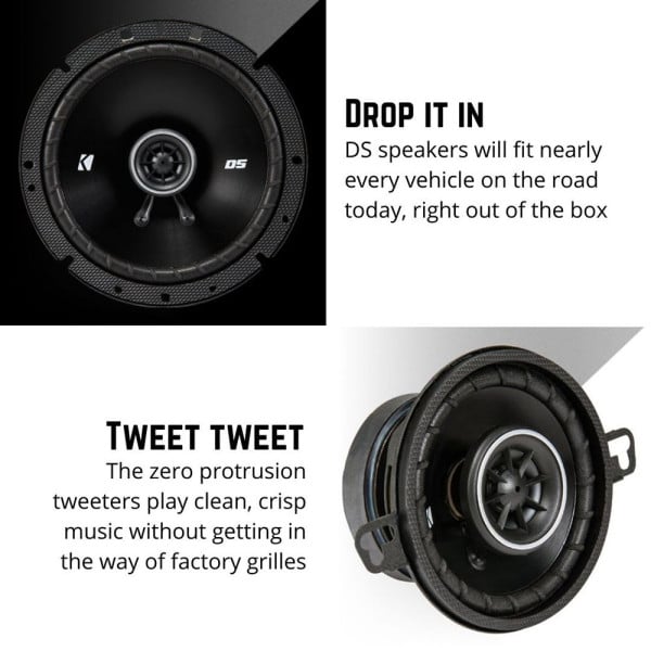 DS 4" x 6" (100 x 160 mm) Coaxial Speaker System
