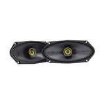 CS 4" x 10" (100 x 250 mm) Coaxial Speaker System